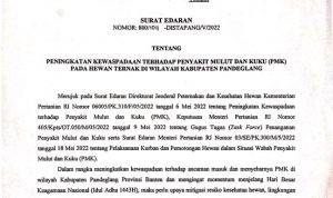 SE Bupati Pdg SE Bupati Pdg